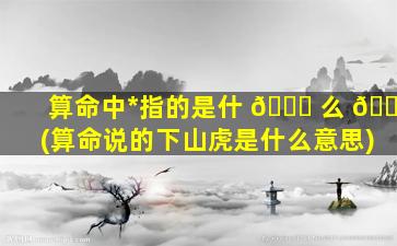 算命中*
指的是什 🍁 么 🐶 (算命说的下山虎是什么意思)